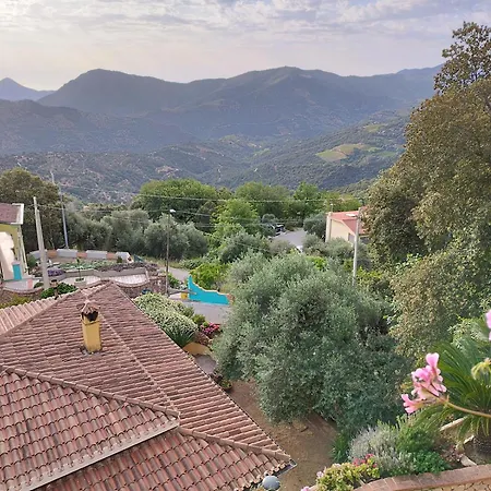 Apartment La Collina