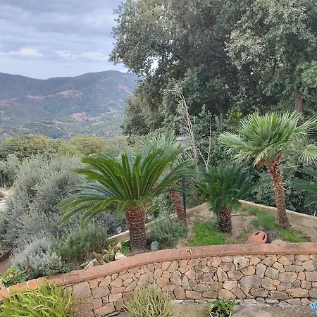 Apartment La Collina *