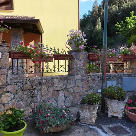La Collina *