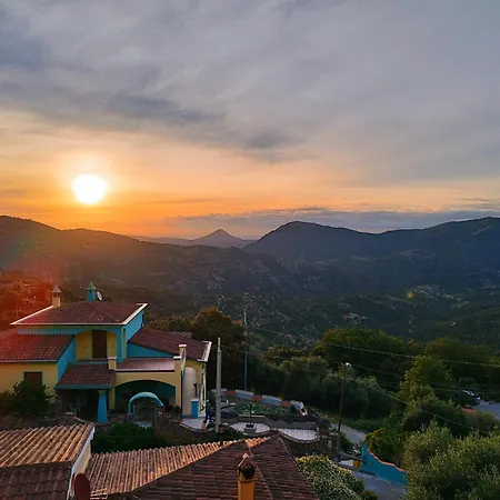 Apartment La Collina *