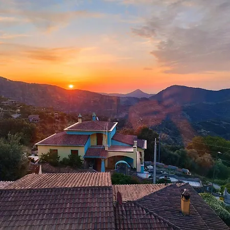 La Collina *