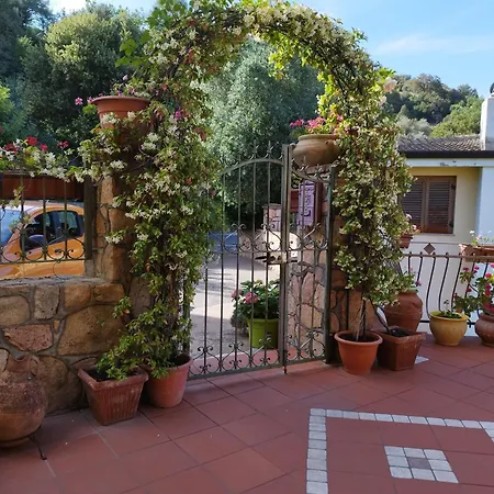 La Collina
